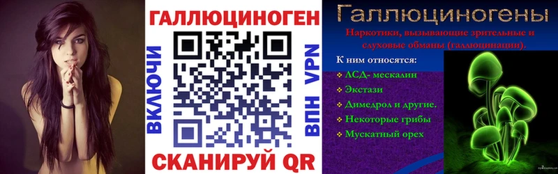 Псилоцибиновые грибы Cubensis  Вихоревка 